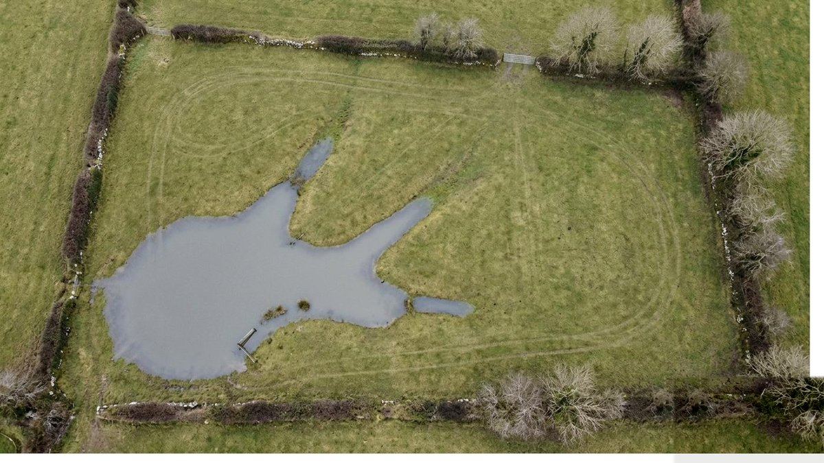 An aerial photograph of a field with a flooded area.